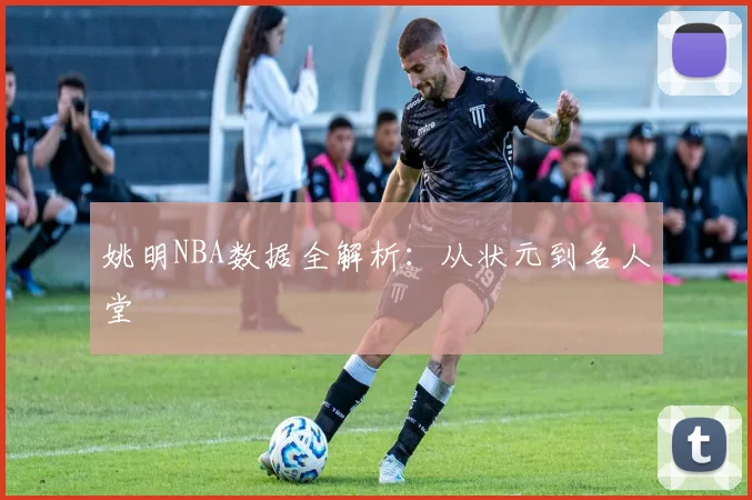 姚明NBA数据全解析:从状元到名人堂